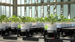 Spot Valagro collaborazione Agrobios [upl. by Roz120]