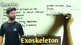 Exoskeleton  Exoskeleton class 2nd year  Fsc 2nd year biology [upl. by Oisangi]