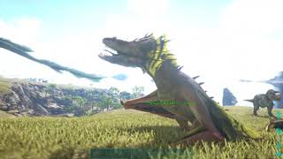 ARK How To Spawn In All 4 Wyverns [upl. by Anaitsirhc411]