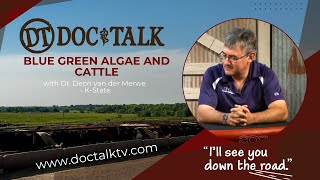 DocTalk Ep 171  Blue Green Algae and Cattle [upl. by Devan393]