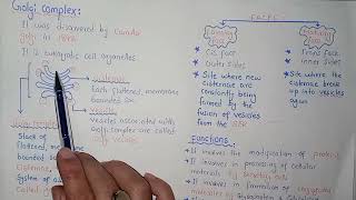 Golgi Complex Structure And Functions  Federal And KPK Board  Class 11 Biology [upl. by Jadwiga973]