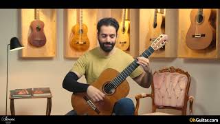 Matthias Dammann 1992 Solidtop Classical Guitar Review [upl. by Aramac]