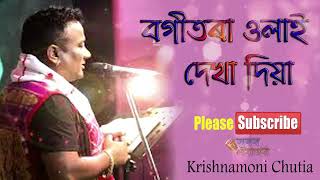 new assamese songs 2019  krishnamoni chutia bogitora ulai dekha dea [upl. by Fowler954]