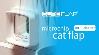 DualScan Microchip Cat Flap  NonSelective Exit Custom Mode [upl. by Amias389]