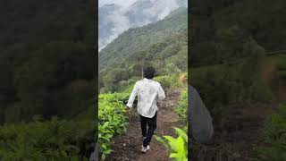 Mountain View of kerala munnar shorts trending youtubeindia youtube youtubeshorts shortvideo [upl. by Drews]