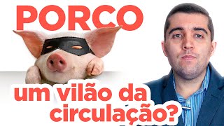 Carne de porco é remoso e entope as veias e causa má circulação trombose AVC infarto e embolia [upl. by Miranda]