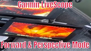 Garmin Livescope forward vs Perspective mode on the water comparison of both [upl. by Rovert312]