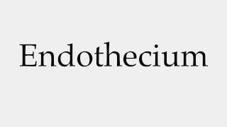 How to Pronounce Endothecium [upl. by Eittap]