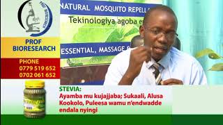 PROF BIORESEARCH  EMBOOZI ZOMKENKUFU MUDALASINI CINNAMON OIL [upl. by Hammel]