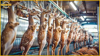 🦌 How Farmers Raise Millions of Deer to Get Antlers  Deer Meat Processing In The Factory [upl. by Dnalevelc]