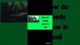 How seeds growviralvideo telugu vignana vishayalu [upl. by Adnaral]