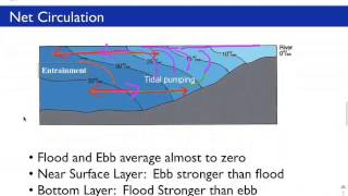 Estuary Classification [upl. by Kinney]