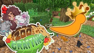 Rise of the Garden Slug Kingdom 🐼🌿 Zoo Crafting • 29 [upl. by Remus]