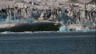 Ice lagoon  Zodiac boat tours  icelagooncom [upl. by Cathrin30]