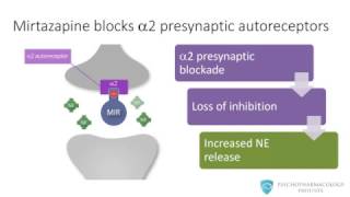 Mirtazapine From Mechanism to Clinical Applications [upl. by Silohcin]