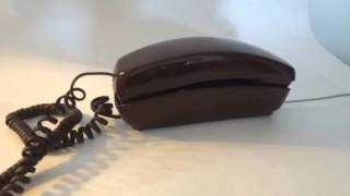 Vintage Western electric chocolate brown trimline pushbutton telephone ringing [upl. by Torbert]