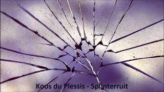 Koos du Plessis  Splinterruit [upl. by Peppel]