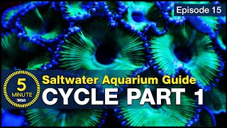 Cycle your saltwater aquarium Step 1 A new reefers guide to ammonia and the nitrogen cycle [upl. by Brackely51]