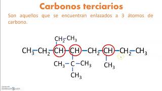 Carbonos primarios secundarios terciarios y cuaternarios [upl. by Nelrsa]