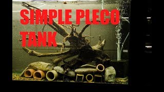 How to set up a basic Pleco breeding tank Hypancistrus Breeding [upl. by Akiaki]