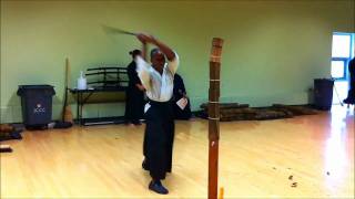 Tameshigiri  Test Cutting with SUPER Sharp Japanese Sword [upl. by Venterea]