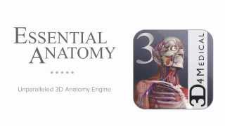 Introducing Essential Anatomy 3 for Android [upl. by Niels]