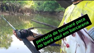 pescaria de tucunaré paca no Rio Hipará aqui em barcarena [upl. by Rehotsirhc83]