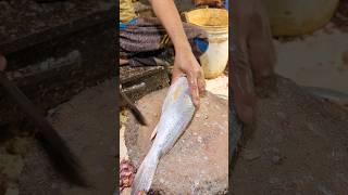 Delicious Giant Poa Fish Cutting Skills In Expert Fish Cutter Live In Fish Market part11 shorts [upl. by Damali335]