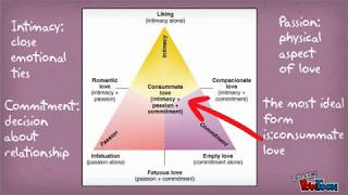 Interpersonal Relationships and Skills [upl. by Denyse538]