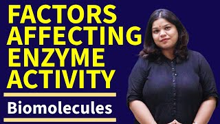 Factors Affecting Enzyme Activity Class 11 Biology  Biomolecules [upl. by Drucilla]