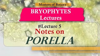 Lecture 5  Porella Life Cycle Important Bryophytes  Lecture Notes [upl. by Emoryt]