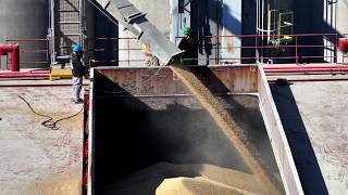 A Day in the Life of the CSL Assiniboine Grain Loading in Toledo [upl. by Sinnard]