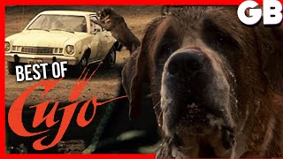 Cujo 1983 KILL COUNT [upl. by Bushore]