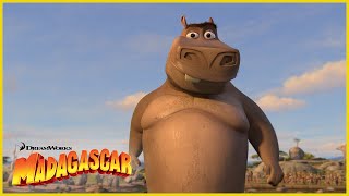 Creo que le gustas a Moto Moto 😘  DreamWorks Madagascar en Español Latino [upl. by Laenaj]