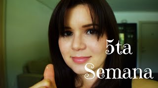 Semana cinco de embarazo 5ta semana Vlog [upl. by Aremus]