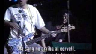 NOFX  Dont Call Me White Live 97 [upl. by Aernda]