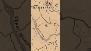 Madam Nazars Location For 813  RDR2 Online shortsshortsvideomadam nazar location rdr2 [upl. by Iad]