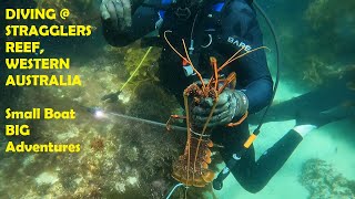 DIVING STRAGGLERS REEF WESTERN AUSTRALIA WITH MUSIC [upl. by Aseek]