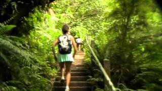 Kokoda Trail Memorial 1000 Steps Dandenong Ranges Melbourne Australia [upl. by Aizti]