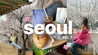 7 days in seoul 🌸 [upl. by Atinnek752]