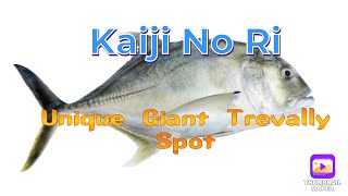 Kaiji No Ri  Unique Giant Trevally Spot [upl. by Winters]