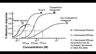 Receptor Binding Graph  Competitive amp Noncompetitive Antagonist Partial Agonist [upl. by Philpot672]