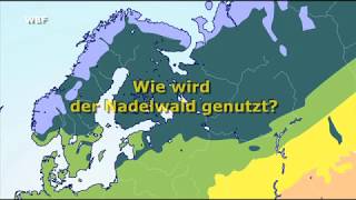 WBF  In der Vegetationszone Nordeuropas  Wie wird der Nadelwald genutzt Trailer [upl. by Nnarefinnej544]