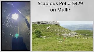 Scabious Pot 5429 on Mullir [upl. by Pippy401]