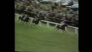 1975 Epsom Derby [upl. by Yelak882]