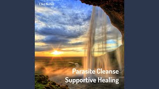 Parasite Cleanse Supportive Healing [upl. by Niwdla]