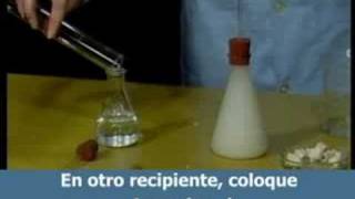 Experiencias Clasicas en Biologia Respiracion 3 anaerobica [upl. by Post]