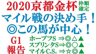 京都金杯 枠順確定 2020 マイル戦はハンデと決め手！【競馬予想】 [upl. by Yznyl373]