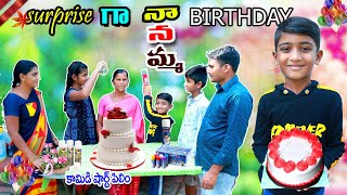 సర్ప్రైజ్ గా నానమ్మ బర్త్డే  surprise ga nanamma birthday  manu videos  telugu letest all [upl. by Arelus]