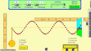 Wave Characteristics amp Introduction to Waves [upl. by Mcnamee]